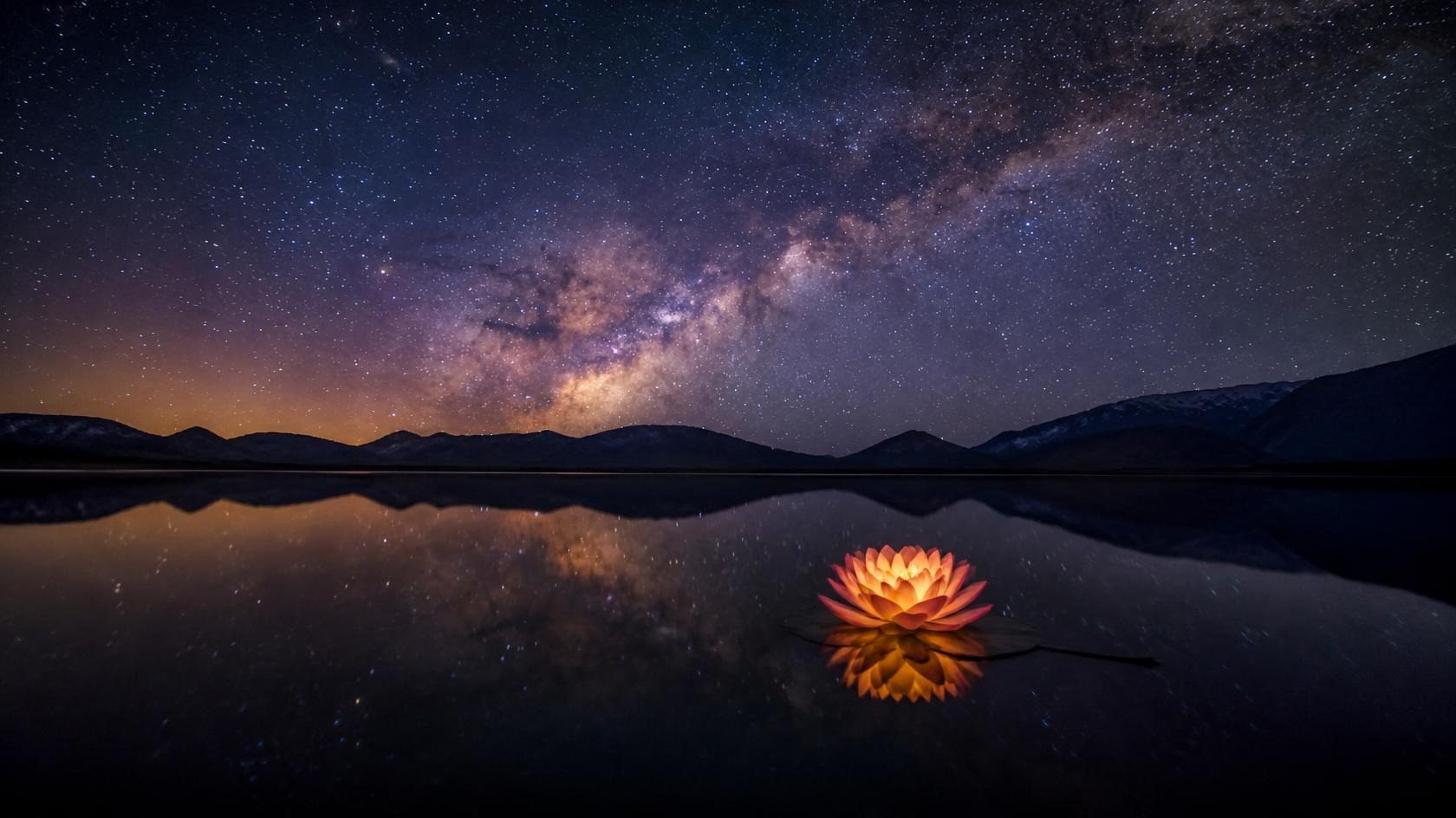 The Milky Way over a still lake at night, a glowing lotus floating on the water
